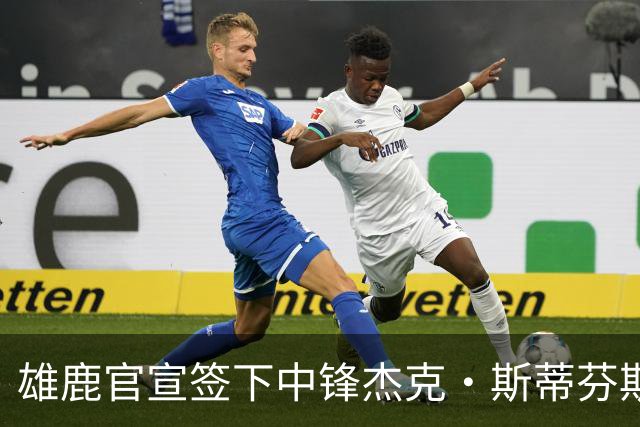 雄鹿官宣签下中锋杰克·斯蒂芬斯！上赛季效力克罗地亚联赛球队！